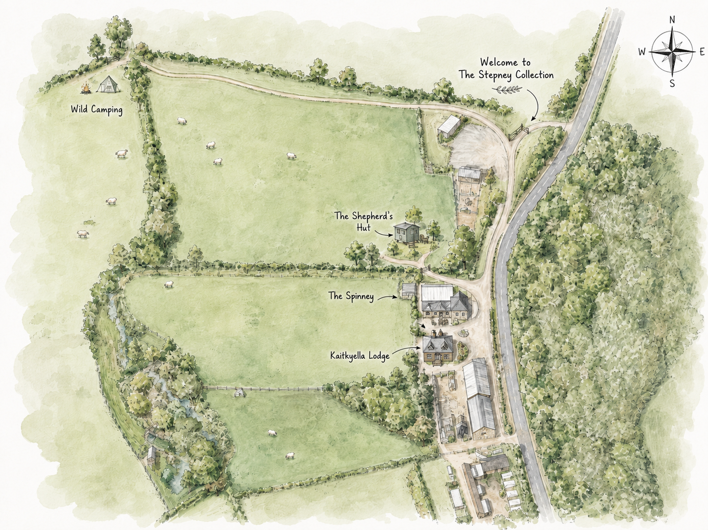 Illustrated map of Stepney Hill Farm showing The Shepherd's Hut, The Spinney, Kaitkyella Lodge and wild camping